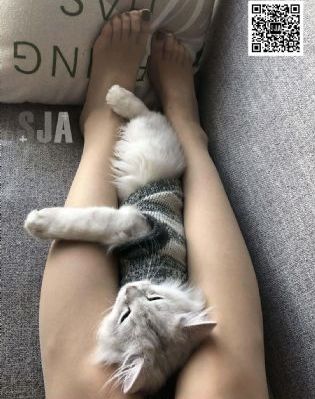 www九色最新地址国产精品黑丝_蓝光全集免费播放