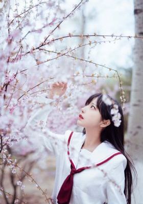 8090欧美怀旧经典歌曲_蓝光完整在线观看